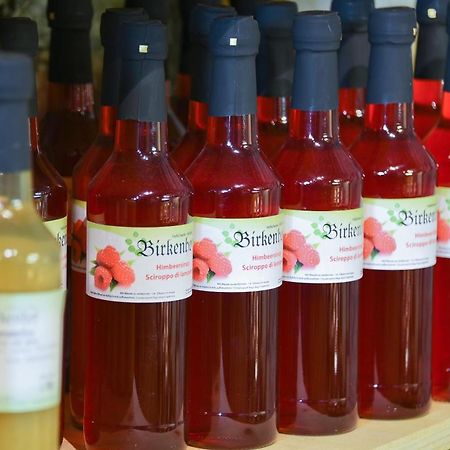 Birkenhof - Wohnung Bichel Schluderns Zewnętrze zdjęcie